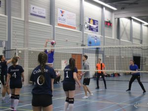 UA190323volleybaltoernooi05.JPG